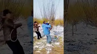 cool techniques for caring for plants that have lost their leaves #shorts