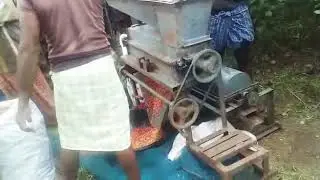 Chilli seed Extraction by Machinery