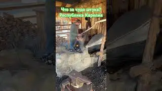 Карелия 🤙💪 #популярное #2024 #топ #тренд #live #тренды #rec