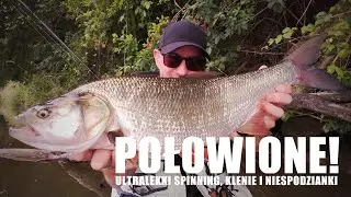 Połowione - ultralekki spinning, klenie i niespodzianki