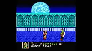 NES Longplay [3147] Toxic Crusaders - Debug