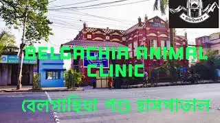বেলগাছিয়া পশু হাসপাতাল ॥ Belgachia Animal Clinic, Dog Hospital and Outdoor clinic