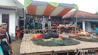 live seni reog SINGO  BUDOYO live Di jati agung/gumuk mas/ kab - jember   2026