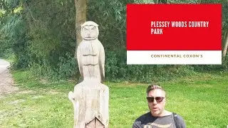 A Walk Around Plessey Woods - Bedlington, Northumberland