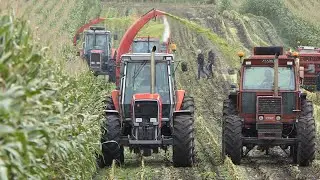 Vintage Corn Silage 2021 - Full Event | Lots of Great Tractors - Mais Silage, Maisernte, H&auml;ckseln