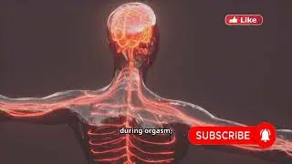 What REALLY Happens During Female Orgasm? | Science Explained #FemaleOrgasm #SexualHealth #Clitoris