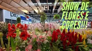 Tauste Orqu&iacute;deas,  Folhagens,  Flores e Cores. Pre&ccedil;os Incr&iacute;veis 