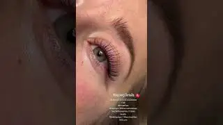 Natural Lash Set | Natural Lash Map