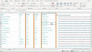 Custom URL's and DealerSocket Blackbird