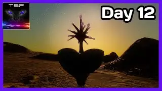 Exploration run Day #12 - What is 