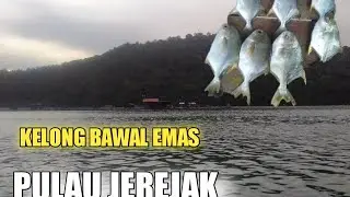 Teknik memancing ikan bawal emas di kelong