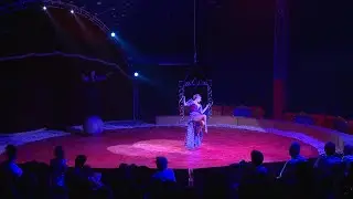 Paletta – 2020.08.21. – Eötvös Cirkusz