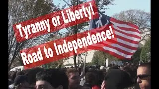 Before the Declaration: The Liberty Tree and America&rsquo;s First Flag of Rebellion | 250 to 250