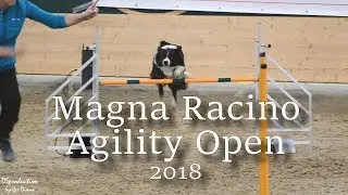 Magna Racino - Agility Open 2018