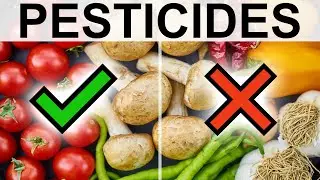 What to buy organic, and where to save money? - Dirty Dozen & Clean Fifteen