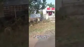 Entering Vcri Tirunelveli Vlog! 🐕🩺😇 #shorts #viral #trending #vcri #vets #vetcollege #new #vetholic
