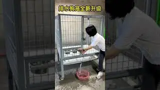 Flush the dog cage, a new upgrade