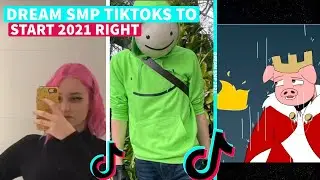 Dream SMP TikToks To Start 2021 Right
