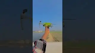 🚁💿 #drone #shorts #youtubeshorts #trending #viral #creative #naturephotography #short #ytshorts