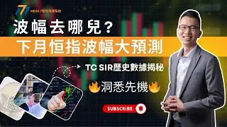 【波幅去哪兒？】TC SIR帶你用放大鏡追蹤恆生指數波幅的秘密｜MEGA 7智能指標系統 #科指 #恒指  #歷史數據分析