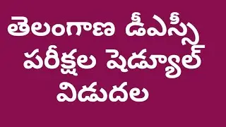 తెలంగాణ డీఎస్సీ  పరీక్షల షెడ్యూల్ విడుదల| TG DSC EXAMINATION SCHEDULE | telangana dsc exam date 2024