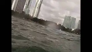 Standup Paddleboarder encounter with a Manatee at the Orange race in Miami