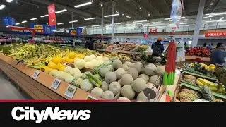 Is grocery relief coming? Economist reveals how Mark Carney's govt and policies may affect food pric