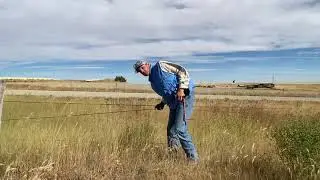 Moderator cattle, dung beetles and Jake&rsquo;s Wire Tighteners