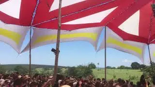 Whiteno1se - ÁRVORE DA VIDA (Itirapina) RAVE 2019