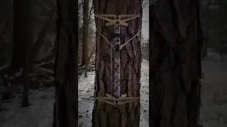 &lrm;@xopgear&nbsp; X2 sticks!! #hunting #mobilehunting #deer #season #sticks #outdoorsman