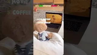 Top 5 Dogs Acting Like Humans 🐶😂 | You Won&rsquo;t Believe #1!