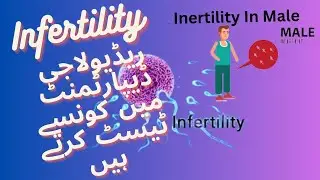 Erectile Disfuction|Fertility test in Radiology|What is a Vasogram test For Male Infertility|In Urdu