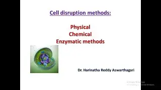 Cell disruption methods