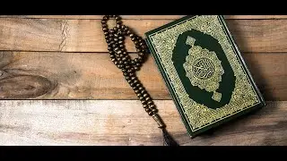 بخصوص علم القراءات | فضيلة الشيخ الدكتور فتحي بودفلة