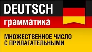 Множественное число с прилагательными. Plural Adjektive. Немецкий язык - урок 15/31. Елена Шипилова.