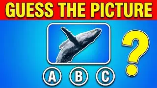 Can You Guess What&rsquo;s in the Picture? #quiz