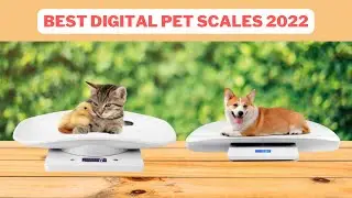 Best Digital Pet Scales | Digital Pet Scales Reviews 2022