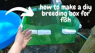 How to make a diy breeding box for fish