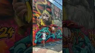 -Miami Rehberi 4-    Little Havana