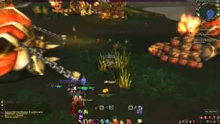 WoW Speed Leveling - Warlock 10-20 - Dubisttot