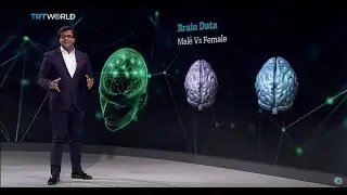 Scientists bust the myth of a male brain being smarter than a female brain