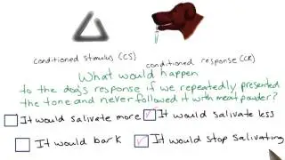 No more meat powder - Intro to Psychology