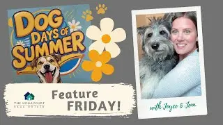 Dog Friendly Locations &mdash; HomeCourt Real Estate Feature FRIDAY!