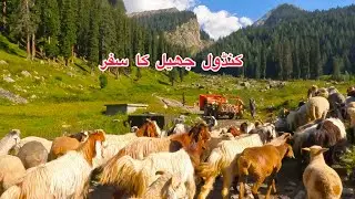 Travel to Kandol Lake | Discover Pakhtonkhwa
