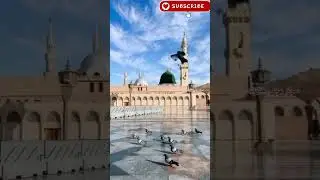 سرکار کا نوکر ہوں نعت | Shorts | #naat #newnaat #islamicmusic #islamicshorts