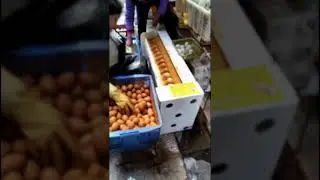 Yellow silt salted duck eggs washing machine