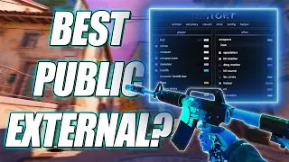 DISTORT.WTF THE BEST CS2 EXTERNAL??? (CS2 CHEATING)