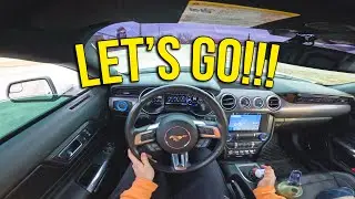 Drive To The GYM With ME! (Mustang GT)