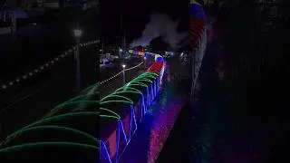 CHRISTMAS TRAIN OF LIGHTS: Festive special departs Kingswear on Dartmouth Steam Railway