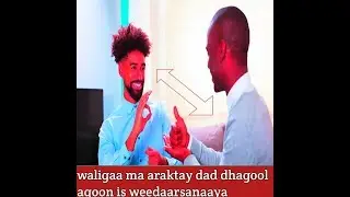 |||TARJUMID||| SHIR UDHAXEEYA 2 MACALIN OO MAQALKA LA,A TALOW MAXEY KASHEEKEESANAAYAAN